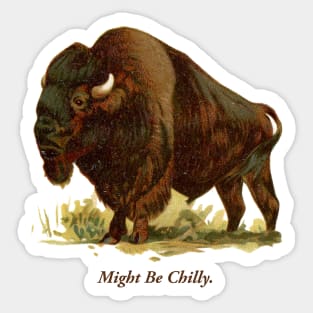 Might Be Chilly Buffalo New York 716 Bison Sticker